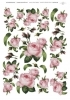 ITDR038 Papier Ryżowy do Decoupage różowe róże A4 297 x 210 mm